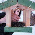 Guide pratique pour construire facilement votre propre nichoir à oiseaux à la maison