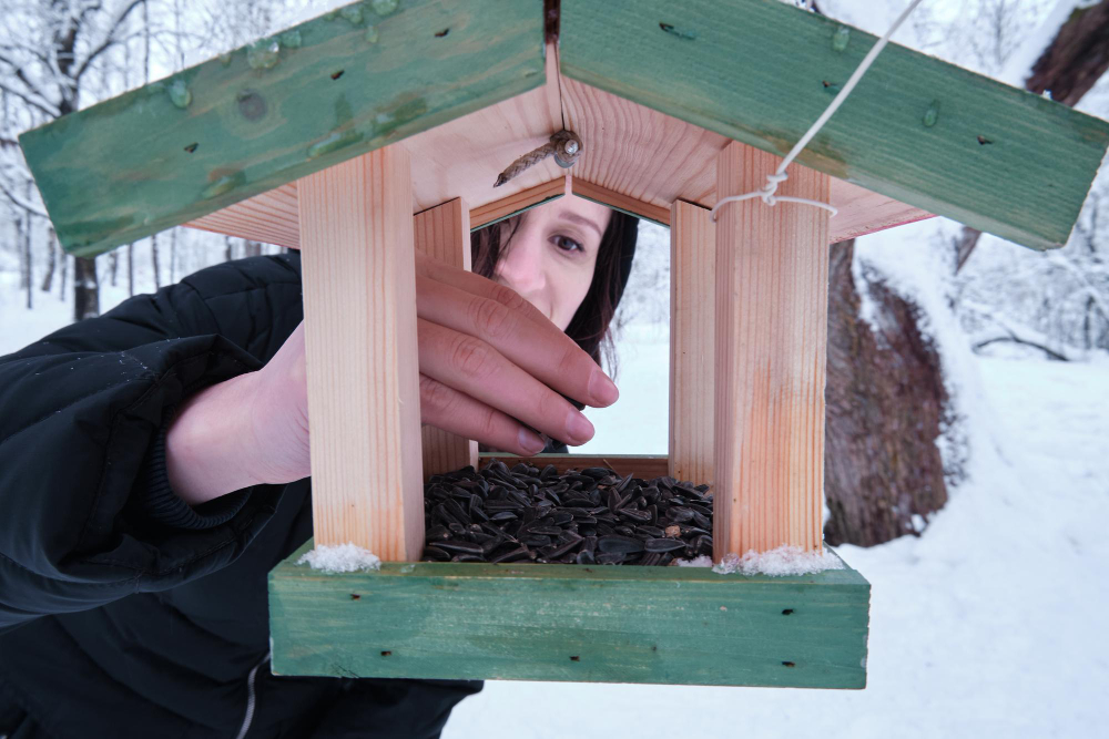 Guide pratique pour construire facilement votre propre nichoir à oiseaux à la maison