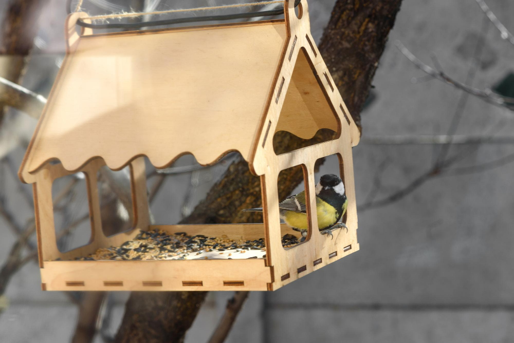 Guide pour construire votre propre nichoir à oiseaux à la maison